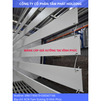 Máng cáp sơn tĩnh điện | Giá rẻ tại Vĩnh Phúc